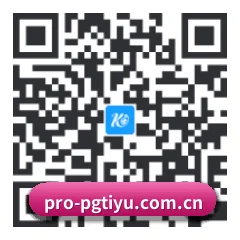 系统 HarmonyOS 二维码